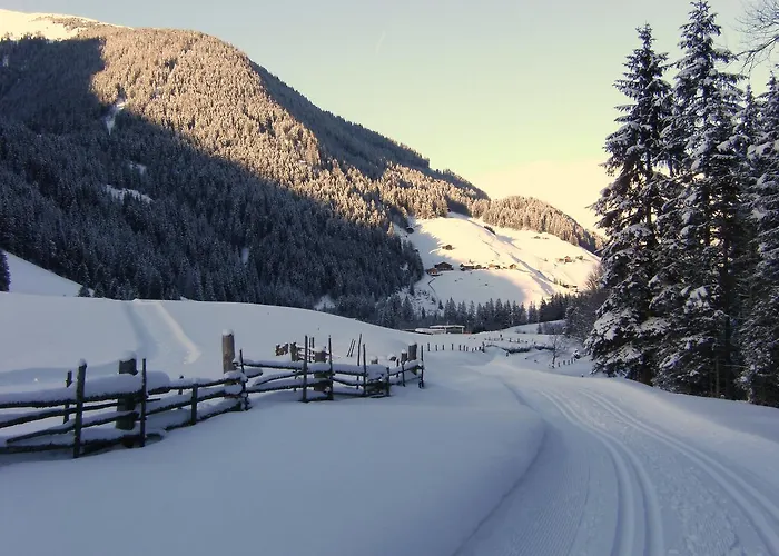 Zum Sepp 宾馆 图克斯